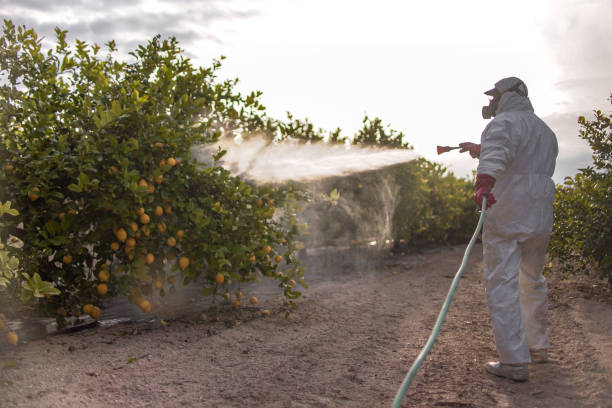 Best Residential Pest Control  in Lakewood, SC