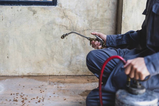Best Pest Inspection Near Me  in Lakewood, SC